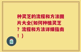种灵芝的流程和方法图片大全(如何种植灵芝？流程和方法详细指南！)