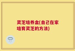 灵芝培养盒(自己在家培育灵芝的方法)