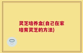 灵芝培养盒(自己在家培育灵芝的方法)