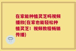 在家能种植灵芝吗视频播放(在家也能轻松种植灵芝！视频教程畅销传播)