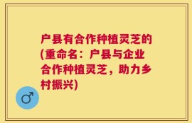 户县有合作种植灵芝的(重命名：户县与企业合作种植灵芝，助力乡村振兴)