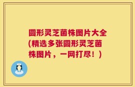 圆形灵芝菌株图片大全(精选多张圆形灵芝菌株图片，一网打尽！)