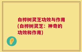 白桦树灵芝功效与作用(白桦树灵芝：神奇的功效和作用)