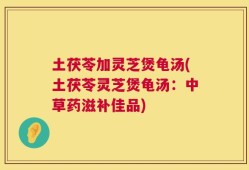 土茯苓加灵芝煲龟汤(土茯苓灵芝煲龟汤：中草药滋补佳品)