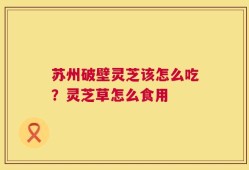 苏州破壁灵芝该怎么吃？灵芝草怎么食用