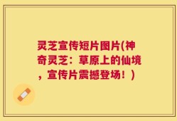 灵芝宣传短片图片(神奇灵芝：草原上的仙境，宣传片震撼登场！)