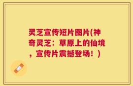 灵芝宣传短片图片(神奇灵芝：草原上的仙境，宣传片震撼登场！)