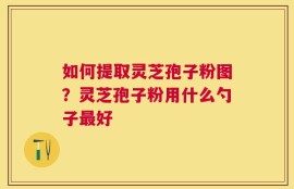 如何提取灵芝孢子粉图？灵芝孢子粉用什么勺子最好