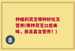 种植的灵芝哪种好吃又营养(哪种灵芝口感美味，而且富含营养？)