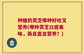 种植的灵芝哪种好吃又营养(哪种灵芝口感美味，而且富含营养？)