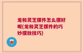 龙和灵芝摆件怎么摆好呢(龙和灵芝摆件的巧妙摆放技巧)