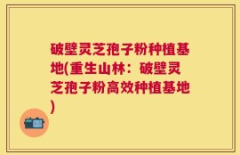 破壁灵芝孢子粉种植基地(重生山林：破壁灵芝孢子粉高效种植基地)
