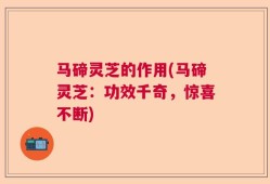 马碲灵芝的作用(马碲灵芝：功效千奇，惊喜不断)