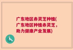 广东地区赤灵芝种植(广东地区种植赤灵芝，助力健康产业发展)