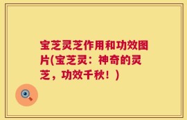 宝芝灵芝作用和功效图片(宝芝灵：神奇的灵芝，功效千秋！)