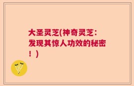 大圣灵芝(神奇灵芝：发现其惊人功效的秘密！)