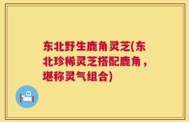 东北野生鹿角灵芝(东北珍稀灵芝搭配鹿角，堪称灵气组合)