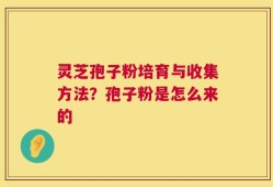 灵芝孢子粉培育与收集方法？孢子粉是怎么来的