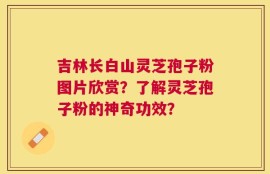 吉林长白山灵芝孢子粉图片欣赏？了解灵芝孢子粉的神奇功效？
