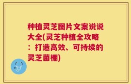 种植灵芝图片文案说说大全(灵芝种植全攻略：打造高效、可持续的灵芝菌棚)