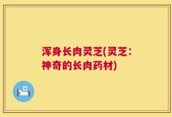 浑身长肉灵芝(灵芝：神奇的长肉药材)