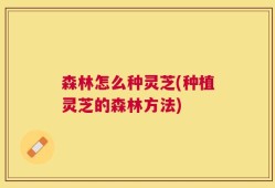 森林怎么种灵芝(种植灵芝的森林方法)