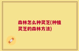森林怎么种灵芝(种植灵芝的森林方法)