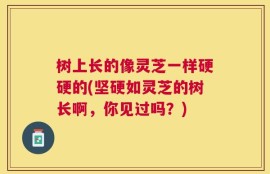 树上长的像灵芝一样硬硬的(坚硬如灵芝的树长啊，你见过吗？)