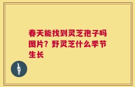 春天能找到灵芝孢子吗图片？野灵芝什么季节生长