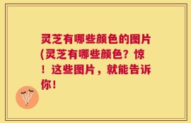 灵芝有哪些颜色的图片(灵芝有哪些颜色？惊！这些图片，就能告诉你！
