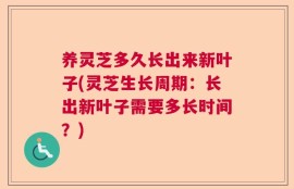 养灵芝多久长出来新叶子(灵芝生长周期：长出新叶子需要多长时间？)