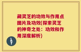 藏灵芝的功效与作用点图片及功效(探索灵芝的神奇之处：功效和作用深度解析)