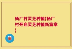 杨厂村灵芝种植(杨厂村开启灵芝种植新篇章)