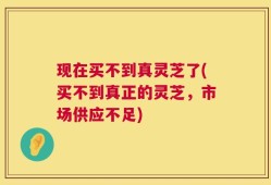 现在买不到真灵芝了(买不到真正的灵芝，市场供应不足)