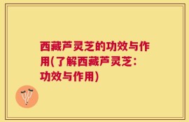 西藏芦灵芝的功效与作用(了解西藏芦灵芝：功效与作用)
