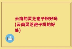 云南的灵芝孢子粉好吗(云南灵芝孢子粉的好处)