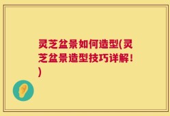 灵芝盆景如何造型(灵芝盆景造型技巧详解！)