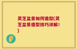 灵芝盆景如何造型(灵芝盆景造型技巧详解！)