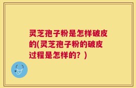 灵芝孢子粉是怎样破皮的(灵芝孢子粉的破皮过程是怎样的？)