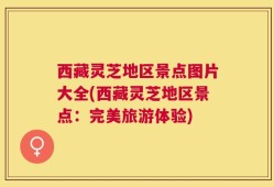 西藏灵芝地区景点图片大全(西藏灵芝地区景点：完美旅游体验)