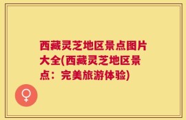 西藏灵芝地区景点图片大全(西藏灵芝地区景点：完美旅游体验)