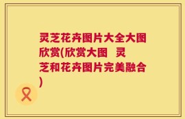 灵芝花卉图片大全大图欣赏(欣赏大图  灵芝和花卉图片完美融合)