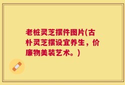 老桩灵芝摆件图片(古朴灵芝摆设宜养生，价廉物美装艺术。)