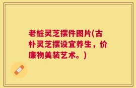 老桩灵芝摆件图片(古朴灵芝摆设宜养生，价廉物美装艺术。)
