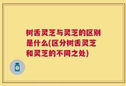 树舌灵芝与灵芝的区别是什么(区分树舌灵芝和灵芝的不同之处)