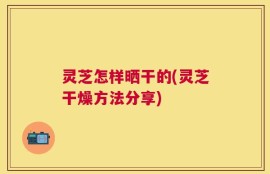 灵芝怎样晒干的(灵芝干燥方法分享)