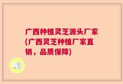 广西种植灵芝源头厂家(广西灵芝种植厂家直销，品质保障)