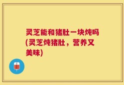 灵芝能和猪肚一块炖吗(灵芝炖猪肚，营养又美味)