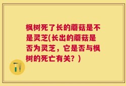 枫树死了长的蘑菇是不是灵芝(长出的蘑菇是否为灵芝，它是否与枫树的死亡有关？)