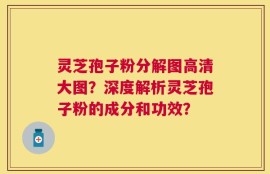 灵芝孢子粉分解图高清大图？深度解析灵芝孢子粉的成分和功效？
